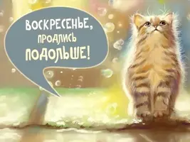 CC0DE810-A51C-40DF-9945-15E6488AB134.webp