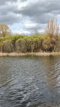 20240413133350_618.webp
