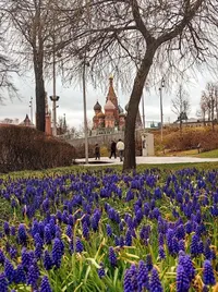 IMG_20240414_191703.webp