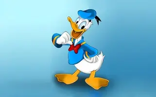 1652303334.webp