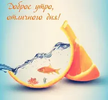 62AA9D6F-C47D-4060-97AF-016018B0EE5D.webp
