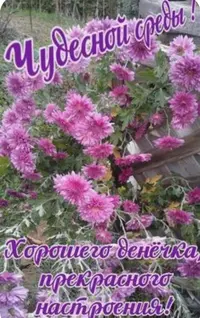 358C4EFD-6039-4568-AC36-EBDA8C45C7D2.webp