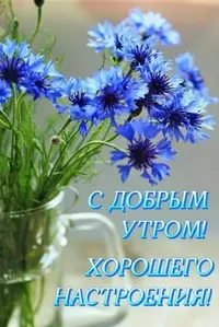 IMG_2680.webp