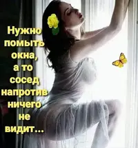 IMG_1221.webp