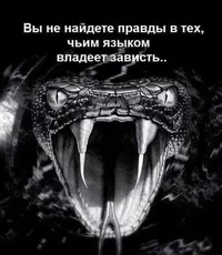 img_zl7MXAC.jpg.webp