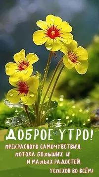 IMG_2702.webp