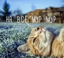 9ED84A71-D5D2-4DA5-8843-A1DB2AB9E0CB.webp