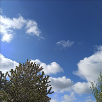 IMG_20240419_084607.webp