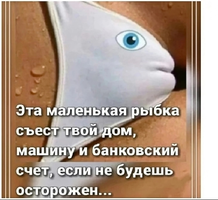 Screenshot_2024-04-19-14-41-13-44_68e74cc0265513bba3f4cf8e2c9891fe.webp