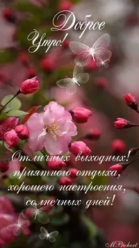 75750_051.webp