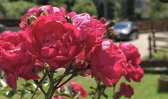 1000001372-01.webp