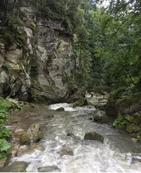 1000001493-01.webp