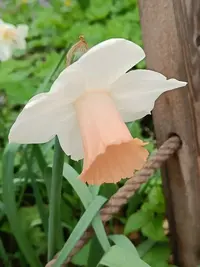 20240418125443.webp