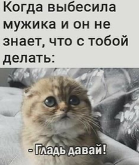 772.webp