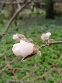 20240418125908.webp
