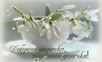 74143487-9F2E-4FEF-BB1A-AC538271CD68.webp