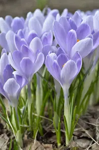 _DSC5110.webp