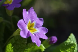 _DSC5489.webp