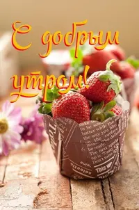 912_311.webp