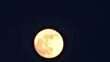 IMG-225789c2cc5a8247c2a4d5d042f02e77-V.webp