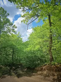 1000359742-01.webp