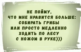 99-09.webp