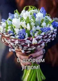 9_111204_148.webp