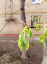 20240424174928.webp