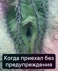 Screenshot_2024-04-24-20-33-53-49_68e74cc0265513bba3f4cf8e2c9891fe.webp