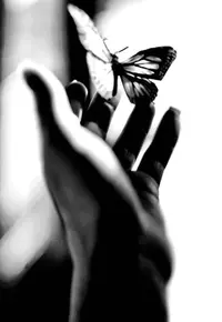 D7710C78-2B9E-4A73-847A-4A643D1B30A3.webp