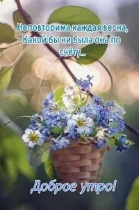 IMG_2770.webp