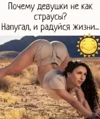 b09a7f75-98bf-4d05-98ca-61fd5d9b874c.webp