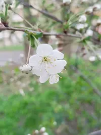 20240425172605.webp
