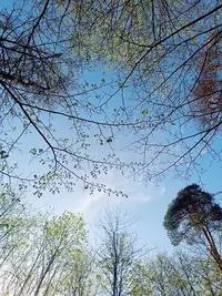 20240425165609.webp