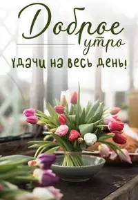 IMG_2809.webp