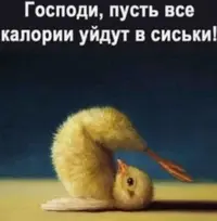 703C042F-5A07-4985-99EA-ACA9140F65D8.webp