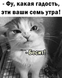 776.webp