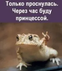 E5A67045-C384-4D85-AFF0-C8018DD2382C.webp