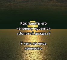 Screenshot_20240429_142928_Instagram.webp