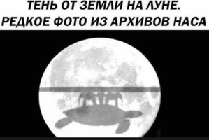 Screenshot_2024-05-01-07-06-24-54_68e74cc0265513bba3f4cf8e2c9891fe.webp