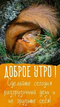 950_410.webp
