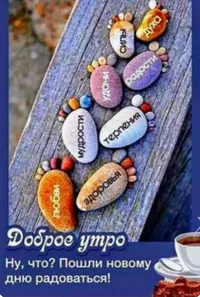 0B155E6D-5301-4B59-9849-FDDF3DF25836.webp