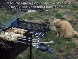 scale_1200.webp