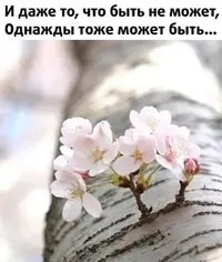IMG_3244.webp
