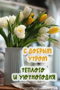 IMG_2859.webp