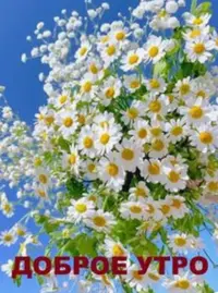 FFD39BB0-F12F-4366-8DEB-DAFBA8EE137F.webp