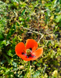 2.05.2024.webp