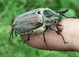 1000001363-01.webp