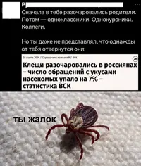 O5J-9vjFg2E.webp