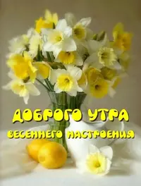 IMG_2875.webp